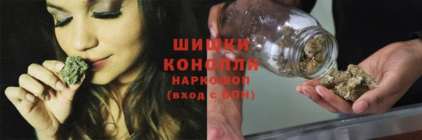 дживик Козловка